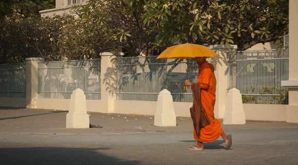 A Buddhist Monk